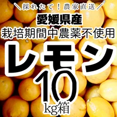 農薬不使用の国産レモン 10kg箱【愛媛の農家直送/農薬不使用の特別栽培基準/全国追加送料なし】2026/06/30のサムネイル