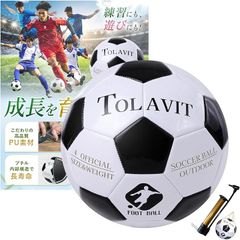 Item thumbnail for item 7c1dd49f-90e0-4bb8-86a0-27c4782d04ab