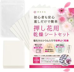 Item thumbnail for item 4737379a-bad9-4f9f-9c1b-b773d6aeb09e