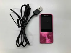 2026年最新】sony ウォークマン nw-s13の人気アイテム - メルカリ