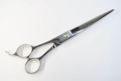 Item thumbnail for item 94e74d1c-7cff-4f3b-8561-264258b56d31