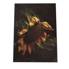 【A4サイズ（約21x30cm）】【fg-poster-136】アートプリント ポスター フレーム付き インテリア アメリカン レトロ ヴィンテージ カフェ 高画質 ひまわり 向日葵 韓国 北欧 小さい 縦