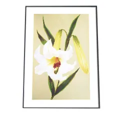 【B4サイズ（約25x36cm）】【fg-poster-152】アートプリント ポスター インテリア 韓国 かわいい ナチュラル 北欧 カフェ レトロ ヴィンテージ シャビー 花 はな ユリ ドライフラワー 小さい 縦