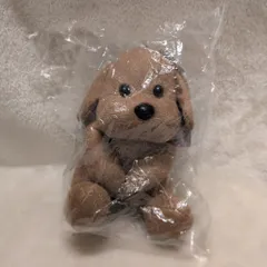 SexyZone Hanauta Chill 松島聡 キーホルダー いぬ