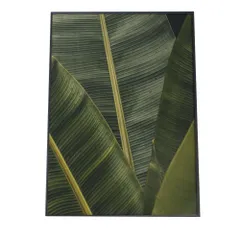 【A1サイズ（約59x84cm）】【fg-poster-259】アートプリント ポスター インテリア フォト オーガスタ ヤシの木 バナナ ストレチア ハワイ ジャングル アマゾン ネフロレピス 植物 ボタニカル