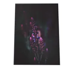 【A3サイズ（約30×42cm）】【fg-poster-320】アートプリント ポスター インテリア アート はな 花 紫 パープル ラベンダー 植物 自然 ボタニカル 北欧 韓国 カフェ風 フラワー リビング