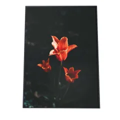 【B4サイズ（約25x36cm）】【fg-poster-321】アートプリント ポスター フレーム付き インテリア アート はな 花 オレンジ ユリ 百合 植物 自然 ボタニカル 北欧 韓国 カフェ風 フラワー リビング