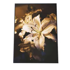 【B3サイズ（約36x51cm）】【fg-poster-325】アートプリント ポスター インテリア アート はな 花 ホワイト 百合 かわいい 植物 自然 ボタニカル 北欧 韓国 カフェ風 フラワー デコレーション