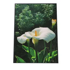 【A3サイズ（約30×42cm）】【fg-poster-327】アートプリント ポスター インテリア アート はな 花 ホワイト カラー かわいい 植物 自然 ボタニカル 北欧 韓国 カフェ風 フラワー ボタニカル