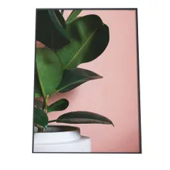 【B3サイズ（約36x51cm）】【fg-poster-335】アートプリント ポスター フレーム付き インテリア アート モダン 観葉植物 グリーン 緑 自然 北欧 韓国 小さい 縦