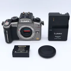 Panasonic　パナソニック デジタル一眼カメラ ルミックス GH2 ボディ 1605万画素 シルバー DMC-GH2-S　#251201_FT0JA201127