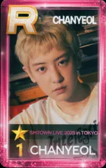 EXO SMTOWN SUPERSTAR CHANYEOL SMTOWN 2025 in TOKYO SUPERSTAR ピンクR