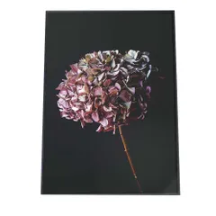 【B4サイズ（約25x36cm）】【fg-poster-400】アートプリント ポスター インテリア 絵 シンプル モダン アート 花 フラワー フラン 植物 レトロ 韓国 モダン ビンテージ モノクロ ヨーロッパ 壁 カフェ 縦