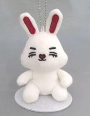 即購入可能・即日発送】エスクプス ぬいぐるみ MINITEEN - メルカリ