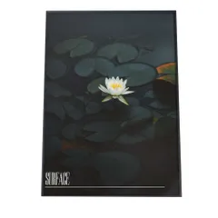 【B4サイズ（約25x36cm）】【fg-poster-46】アートプリント ポスター インテリア フォト モダン シンプル お洒落 しずく 雨 水 水滴 朝露 自然 ナチュラル 森 ジャングル ボタニカル 葉 緑 グリーン