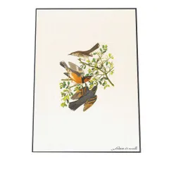 【A3サイズ（約30×42cm）】【fg-poster-501】アートプリント ポスター インテリア トリ 鳥 絵画 アート 画 絵 自然 和風 バード 北欧 ナチュラル モダン 縦