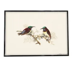 【A2サイズ（約42x59cm）】【fg-poster-505】アートプリント ポスター インテリア トリ 鳥 絵画 アート 画 絵 自然 和風 バード 北欧 ナチュラル モダン 横