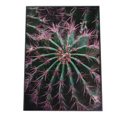 【B4サイズ（約25x36cm）】【fg-poster-518】アートプリント ポスター インテリア サボテン カクタス 多肉 絵画 アート 画 絵 自然 USA カリフォルニア 北欧 ナチュラル 縦