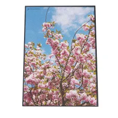 【A2サイズ（約42x59cm）】【fg-poster-521】アートプリント ポスター インテリア ソメイヨシノ 桜 サクラ 梅 ウメ 花 フラワー ピンク 女性 縦