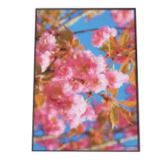 【A0サイズ（約84x119cm）】【fg-poster-523】アートプリント ポスター インテリア ウメ 桜 サクラ 梅 ウメ 花 フラワー ピンク 木 ガーデニング 縦