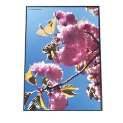 【A0サイズ（約84x119cm）】【fg-poster-524】アートプリント ポスター インテリア ウメ 桜 サクラ 梅 ウメ 花 フラワー ピンク 木 ガーデニング 縦