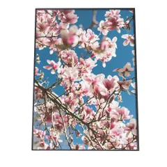 【B2サイズ（約51x73cm）】【fg-poster-529】アートプリント ポスター インテリア サクラ 梅 ウメ 花 フラワー ピンク 木 お洒落 モダン 縦