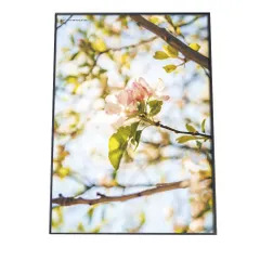 【A2サイズ（約42x59cm）】【fg-poster-530】アートプリント ポスター インテリア サクラ 梅 ウメ 花 フラワー ピンク 木 お洒落 モダン 縦