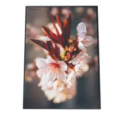 【A4サイズ（約21x30cm）】【fg-poster-534】アートプリント ポスター インテリア サクラ 桜 花 フラワー 絵画 植物 ボタニカル グリーン 縦