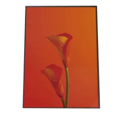 【B3サイズ（約36x51cm）】【fg-poster-556】アートプリント ポスター インテリア 観葉植物 一輪 カラーリリー リース 赤 クリスマス 低木 北欧 韓国 花 はな シンプル 絵画 壁掛け モダン アート 縦