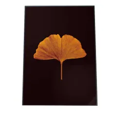 【B4サイズ（約25x36cm）】【fg-poster-558】アートプリント ポスター インテリア 観葉植物 一輪 イチョウ 銀杏 春 秋 赤 クリスマス 低木 北欧 韓国 花 はな シンプル 絵画 壁掛け モダン アート 縦