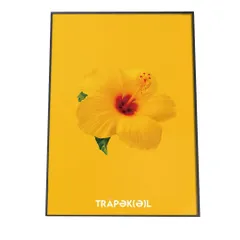 【A4サイズ（約21x30cm）】【fg-poster-559】アートプリント ポスター インテリア 観葉植物 一輪 ハイビスカス ビタミンカラー イエロー 黄色 クリスマス 低木 北欧 韓国 花 はな シンプル 絵画 壁掛け モダン 縦