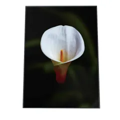 【A4サイズ（約21x30cm）】【fg-poster-564】アートプリント ポスター インテリア 観葉植物 ボタニカル 葉 リビング 模様替え 北欧 韓国 花 はな シンプル 絵画 壁掛け モダン アート 縦