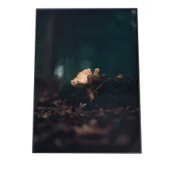 【A0サイズ（約84x119cm）】【fg-poster-567】アートプリント ポスター インテリア しずく 雨 水 水滴 朝露 自然 ナチュラル 森 ジャングル ボタニカル 葉 緑 高画質 グリーン 植物 キノコ 縦