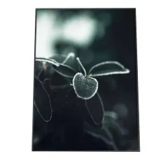 【A4サイズ（約21x30cm）】【fg-poster-568】アートプリント ポスター インテリア しずく 雨 水 水滴 朝露 自然 ナチュラル 森 ジャングル ボタニカル 葉 緑 高画質 グリーン 植物 縦