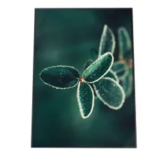 【A2サイズ（約42x59cm）】【fg-poster-569】アートプリント ポスター インテリア しずく 雨 水 水滴 朝露 自然 ナチュラル 森 ジャングル ボタニカル 葉 緑 高画質 グリーン 植物 縦