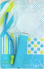 嵐 10-11年 scene 君と僕の見ている風景 ペンライト