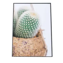 【B1サイズ（約73x103cm）】【fg-poster-936】アートプリント ポスター インテリア 植物 観葉 グリーン ボタニカル 緑 アーバンジャングル サボテン カクタス 多肉 縦