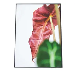 【B4サイズ（約25x36cm）】【fg-poster-938】アートプリント ポスター インテリア 植物 観葉 グリーン ボタニカル 緑 アーバンジャングル シンゴニウム 縦