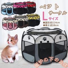 Item thumbnail for item 51d49028-005a-4742-be09-f7263d3f0264