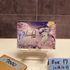 ダヤン・ビシエド サイン入りカード 66 中日ドラゴンズ 55/75 - メルカリ