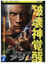 DVD 真犯人フラグ 1～4巻セット(未完) 西島秀俊 芳根京子 ※ケース無し