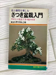 2025年最新】さつき 皐月 盆栽の人気アイテム - メルカリ