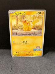 ヤマダ電機 ポケモンセンター限定 スペシャルセット ピカチュウ 未開封