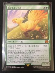 MTG アートスリーブコレクション 30th 戦慄衆の将軍、リリアナ 天野