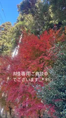 R様専用ご商談中でございます…*＊