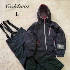 美品！GOLDWIN ゴールドウィン スキー　スノボウェア 上下セット ドット　サイズL