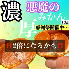 悪魔のみかん　C級　1キロ