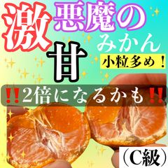 悪魔のみかん C級 4キロ
