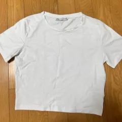 ZARA ザラ 基本 クロップド 半袖Tシャツ