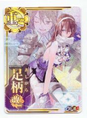 ヴァイス 勝利の女神 NIKKE ルドミラ：ウィンターオーナー - メルカリ